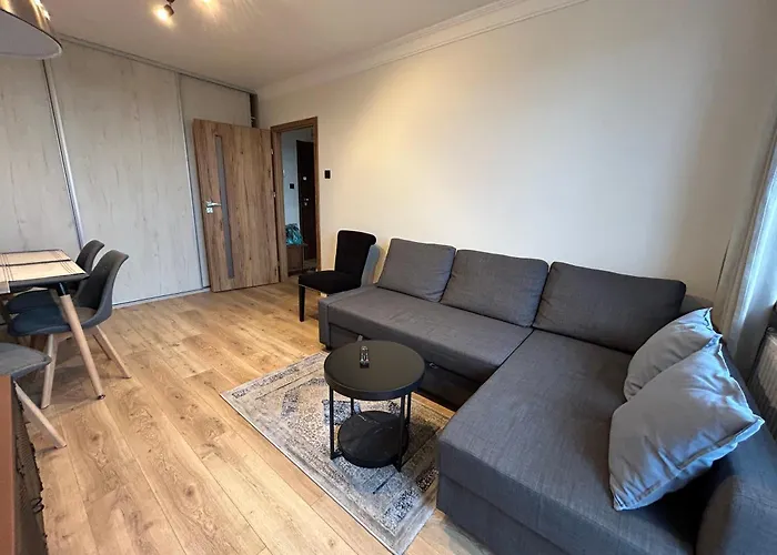 Apartament Z Widokiem Na Gdansk I Zatoke Free & Priv Parking
